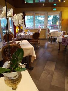 Hotels Relais Vosgien - Hotel Restaurant 