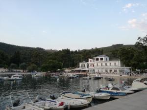 Kallisti Seaside Studios Skopelos Skopelos Greece