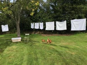 Maisons d'hotes Manoir des petites bretonnes : Chambre Double - Vue sur Parc