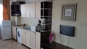 Tashevi Apartments - 索佐波尔