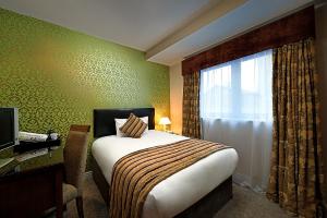 Single Room room in George Limerick Hotel