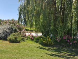 Maisons de vacances Gite Les Lavandes : photos des chambres