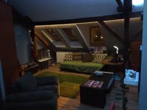 Apartament przy Wyspie - Trzcianka