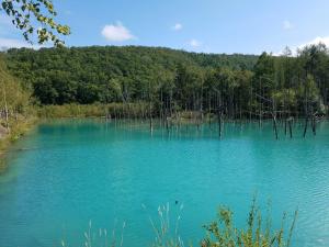 森の雫RIN MorinoshizukuRIN