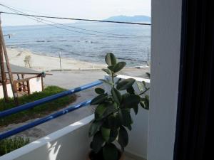 Philippos Studios & Apartments Kos Greece