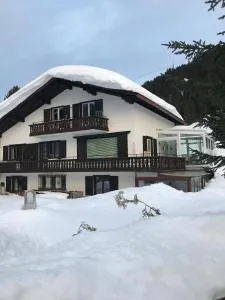 "Falkenstein" - Bolgen