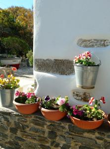 Traditional Guest House near Paroikia Paros Greece