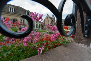 Maisons de vacances Gites Au Chateau Fleuri : photos des chambres
