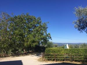 Belvedere Cramaccioli