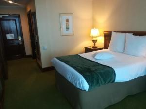 Single Room - Mobility Access room in Hotel HP Tower One Brasov