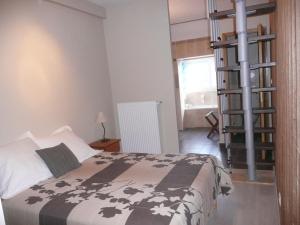 Appart'hotels Residence L'Etoile du Sancy : photos des chambres