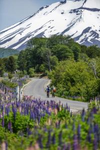 Valle Corralco Hotel & Spa