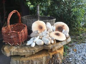 Agriturismo il Mulino