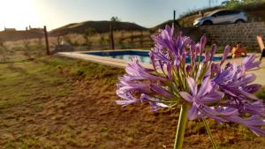 Condominio del Faro - Quequen