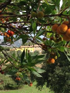 Agriturismo Is Conchisceddas img46