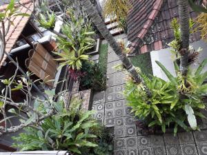 Nyoman House Ubud