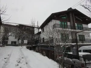 Edelweiss - 巴库里阿尼