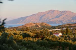 Gaia Bungalows Heraklio Greece