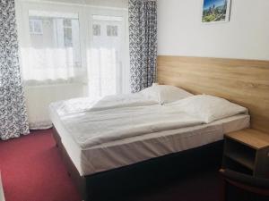 Double Room with Private Bathroom room in Azalia Karpacz