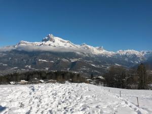 Rez de chaussée très calme vue Mont-Blanc