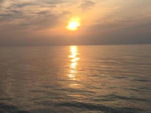 Apartamenty i pokoje "U Dawida"