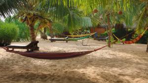 Mangrove Beach Cabana