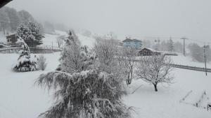 Appartamento Pista Stelvio