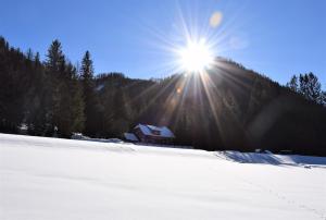 Ferienhaus Dirnbacher Hütte