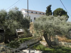 Villa Tara Thassos Greece