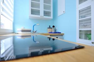 Victus Apartamenty, Apartament Roma