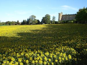 Hotels Relais du Chateau : photos des chambres