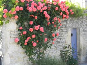 B&B / Chambres d'hotes Le Logis d'ANTIGNY : photos des chambres