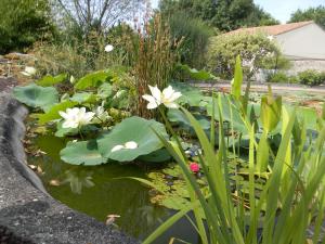 B&B / Chambres d'hotes Le Logis d'ANTIGNY : photos des chambres