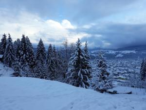 Pension Cabana Ionela