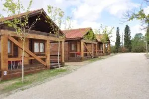 Camping La Estanca - 阿尔卡尼斯