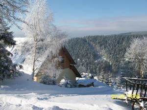 Apartament Ferienwohnung Becher Klingenthal Klingenthal Niemcy