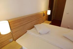 Vila Amira Predeal