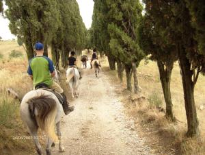 Agriturismo Il Monte - Piscina tra gli Ulivi, Maneggio con Cavalli e WIFI
