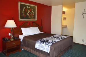 Queen Room room in Western Motel