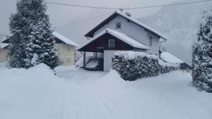 Ferienhaus Ferienhaus-Cerny Bad Goisern am Hallstättersee Österreich