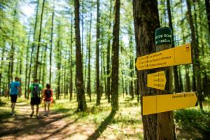 Villages vacances VTF Les Esquirousses : photos des chambres