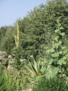 Kleine Villa im wilden Garten