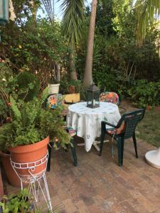 Geranium Studio