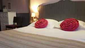 Hotels Le Beaugency : photos des chambres