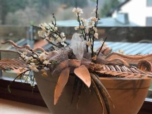 Ferienwohnungen Willingen Wald