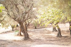 Hotels Domaine des Gueules Cassees : photos des chambres