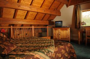 Hotels Lautaret Lodge & Spa : photos des chambres