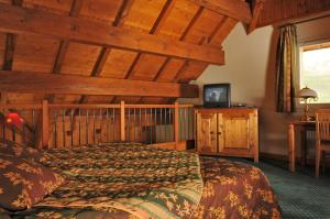 Hotels Lautaret Lodge & Spa : Suite