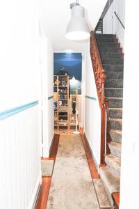 Procyon Boutique & Suites