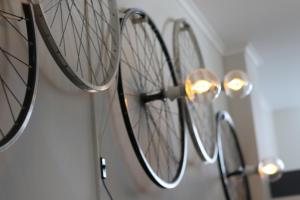 Procyon Boutique & Suites